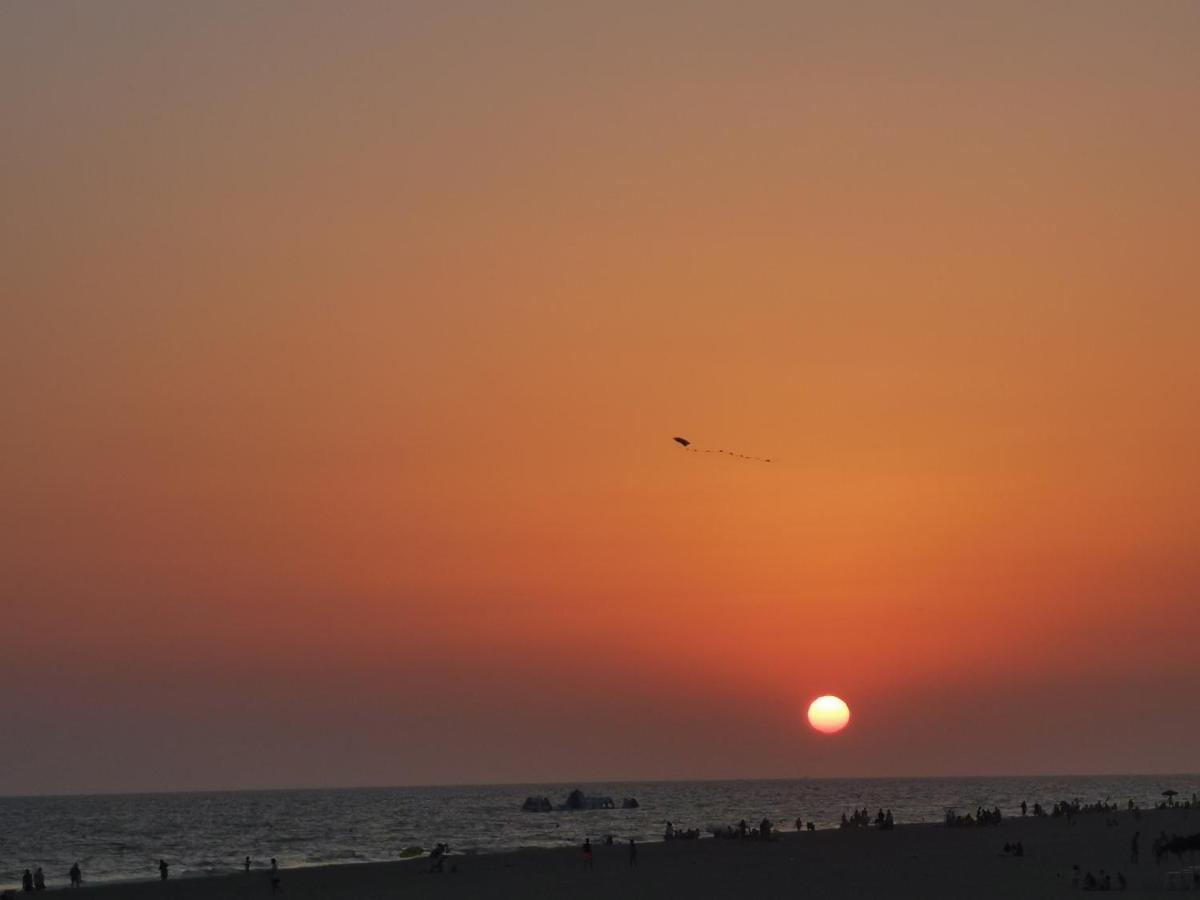 Entre Pinos Y Playa Διαμέρισμα Matalascañas Εξωτερικό φωτογραφία