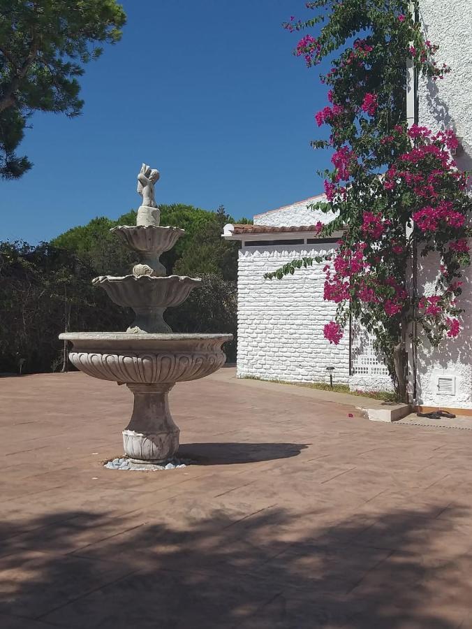 Entre Pinos Y Playa Διαμέρισμα Matalascañas Εξωτερικό φωτογραφία